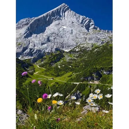 Falkenstein Appartement