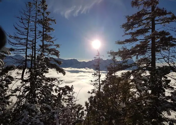 Lejlighed Falkenstein